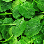 Leafy green salad