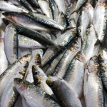 Roasted sardines