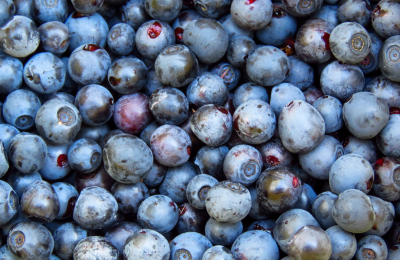 Fresh blueberries and blackberries rich in polyphenols